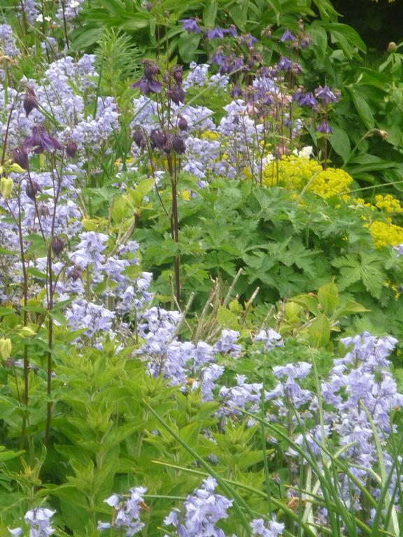 Freshford Castle View B&B מראה חיצוני תמונה
